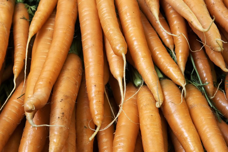 Las zanahorias contienen fructosa y glucosa.