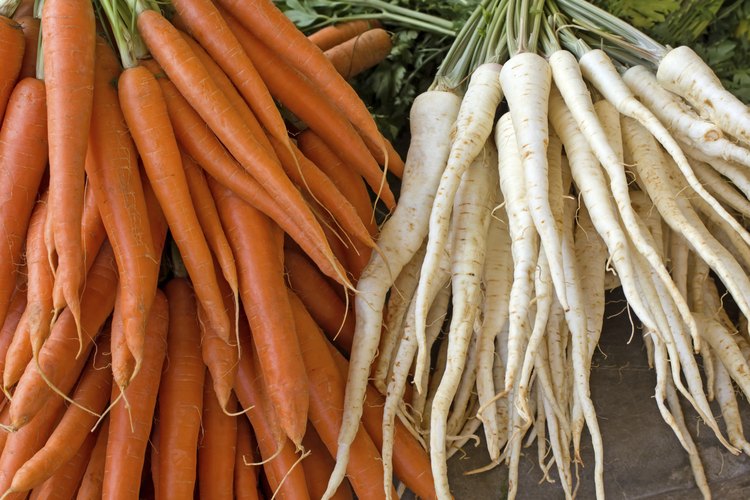 Raíces frescas de perejil y zanahorias delgadas.