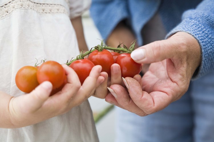 Las frutas y las verduras reducen la excreción de ácidos por la orina.