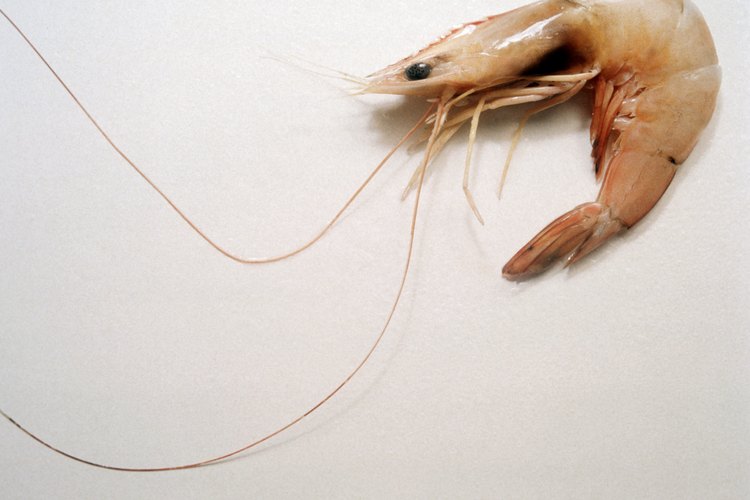 Los camarones son ricos en proteína y zinc.