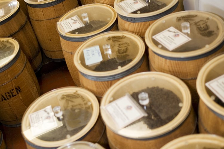 Los aceites y ácidos se encuentran dentro de los granos de café.