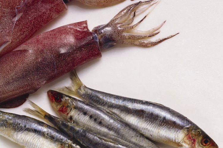 Las sardinas pueden estar contaminadas con mercurio, como otros pescados.