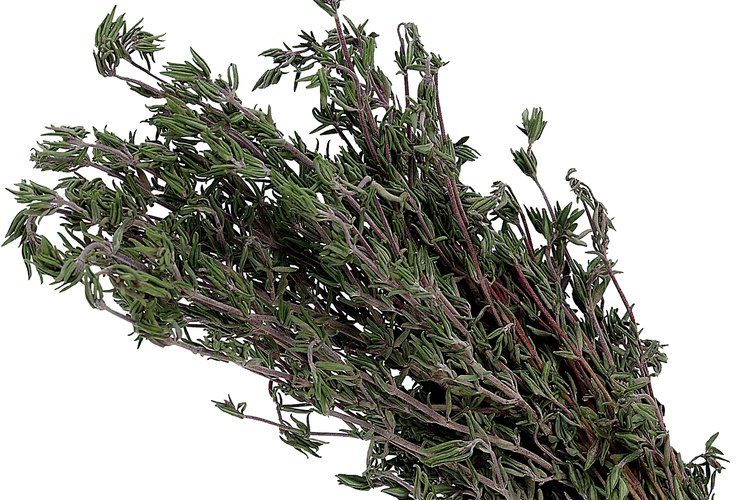 El tomillo o Thymus vulgaris, además de ser un sabroso condimento culinario, es una planta antiséptica, digestiva e insecticida.