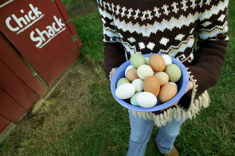 Un desayuno rico en proteínas puede acelerar la pérdida de peso.