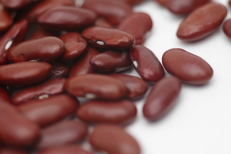 Las judías o frijoles son fuente de lecitina.