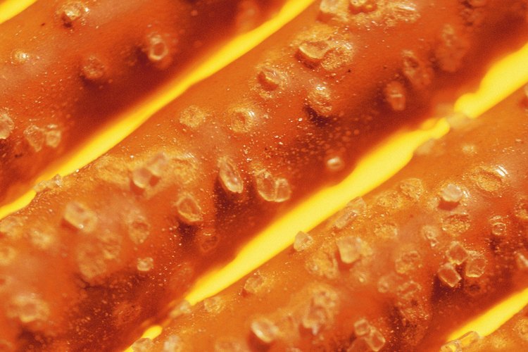 Los Pretzels también aportan pequeñas cantidades de hierro, magnesio, potasio y vitamina E.