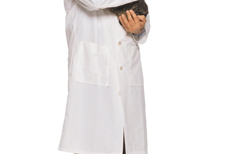 Tu veterinario debe ser capaz de ofrecerte un arma píldora y demostrar la mejor manera de utilizarla con tu gato.