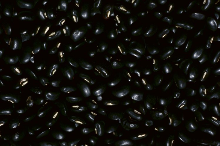 El cuerpo absorbe el hierro no hemo de los alimentos vegetales con menos eficiencia que el hierro hemo de alimentos de origen animal.