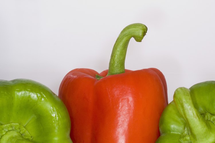 Asegúrate de que incluyas alimentos nutritivos en tu dieta.