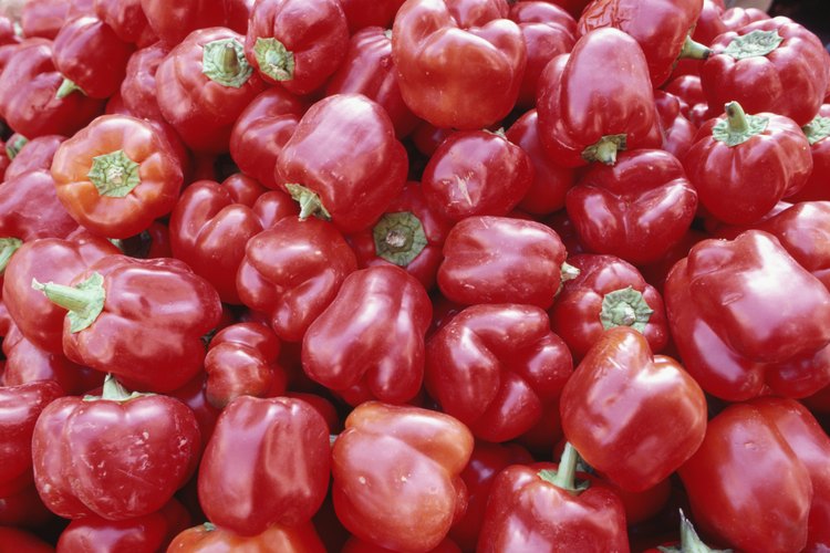 Varios pimientos son una fuente de capsaicina que aumenta el metabolismo.
