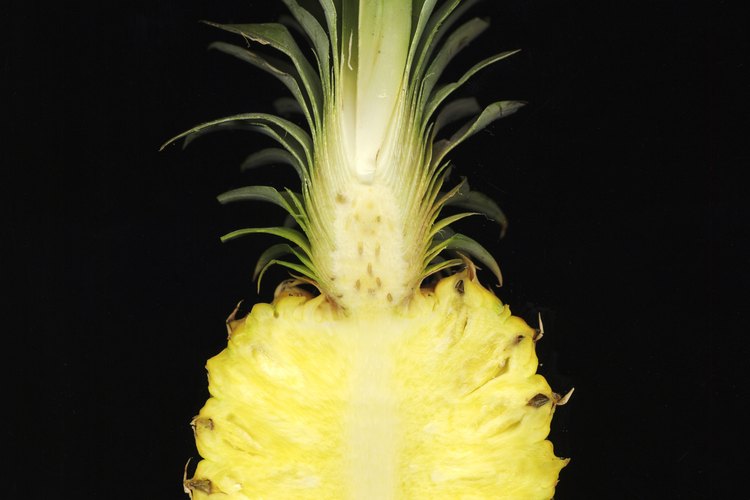 Aprende más sobre esta deliciosa fruta.