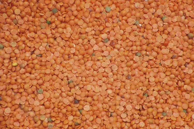 Las lentejas rojas son de cocción rápida y muy nutritivas.