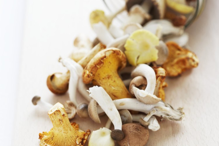 Todos los tipos de hongos contienen vitamina D.