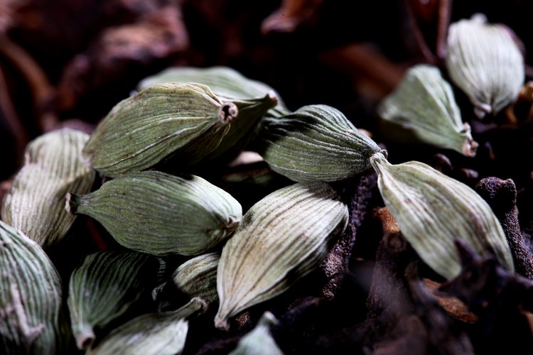 Acercamiento del cardamomo.