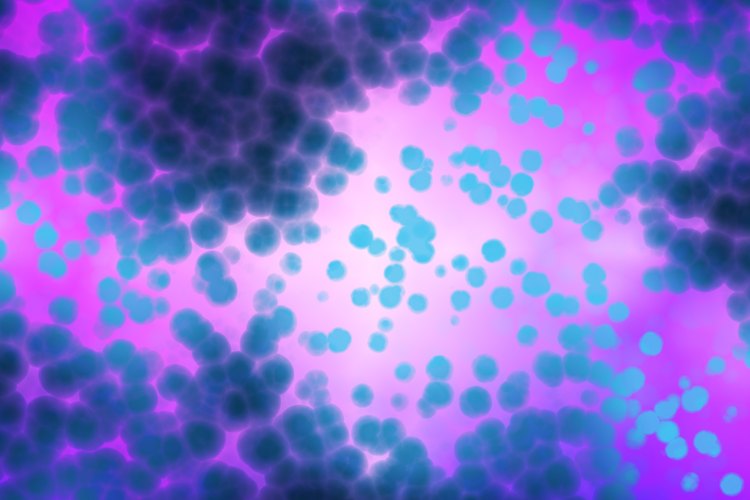 El blastocystis hominis es un parásito que se aloja en las heces de un individuo.