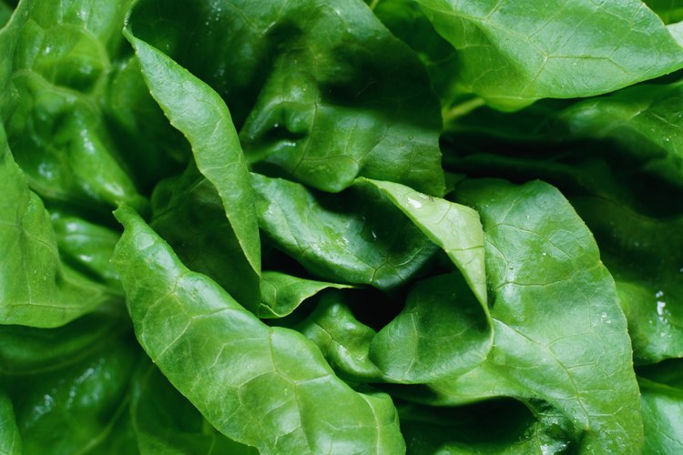 Almacena verduras de hoja para hacer ensaladas rápidas.