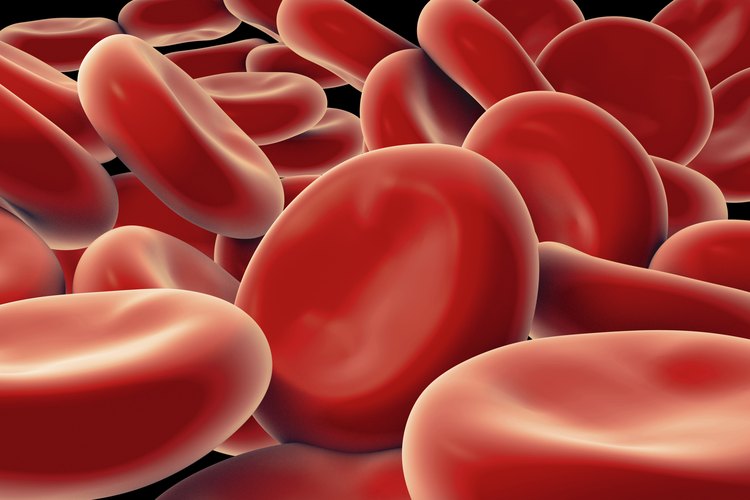 Los niveles de oxígeno en la sangre se ven afectados por la disminución de la capacidad de difusión durante el ejercicio, pero también se pueden ver afectados por las altitudes.
