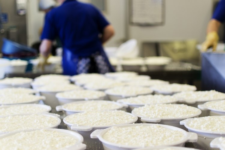 En las dietas libres de lácteos se deben eliminar todos los alimentos que contienen leche y productos que la contienen.