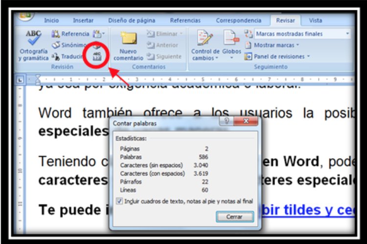 ¿Qué son los caracteres en un documento de Word?