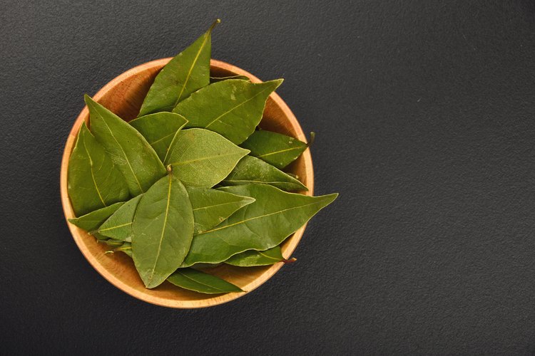 Are Bay Leaves the Same As Basil LEAFtv