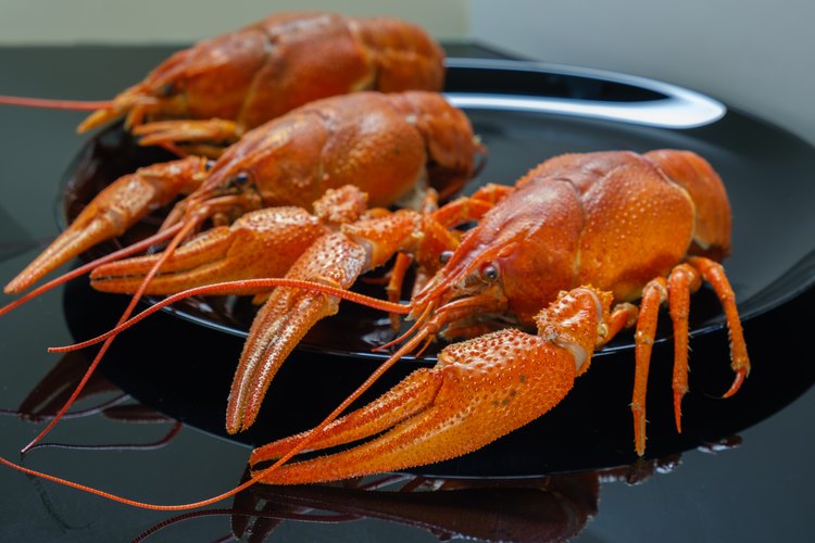 How to Pressure Cook Lobster LEAFtv