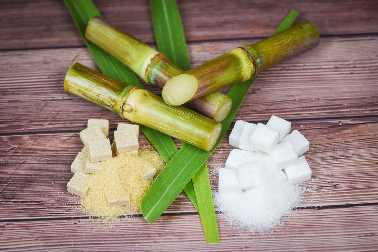 Uses of Sugarcane | LEAFtv