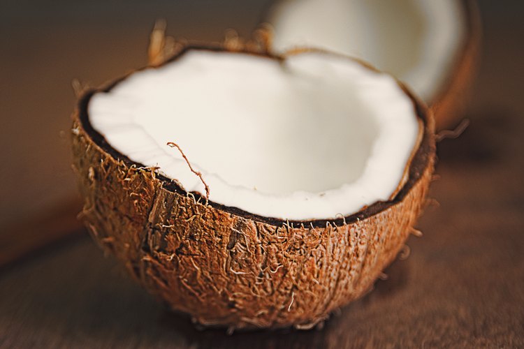 how-to-shred-dry-fresh-coconut-meat-leaftv