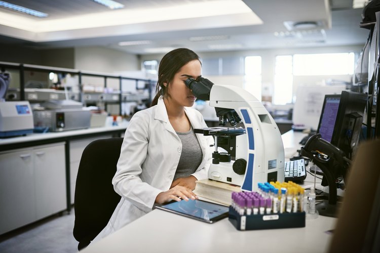 Laboratorio