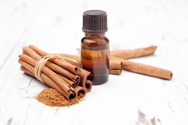 how-to-make-cinnamon-oil-leaftv