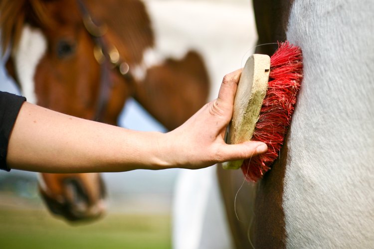 How to Make Horse Hair Jewelry and Accessories | LEAFtv