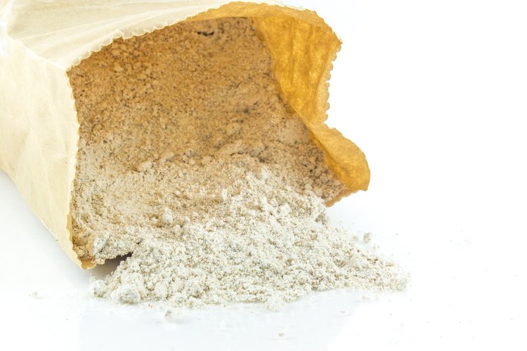 what is insect flour
