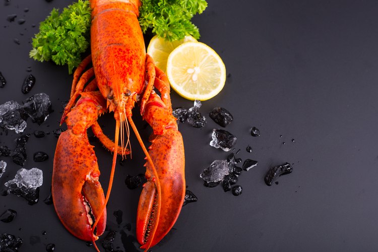 The Best Ways To Thaw Frozen Lobster Meat LEAFtv   55ff41ef3f8a4f629b9fac984ed25b27