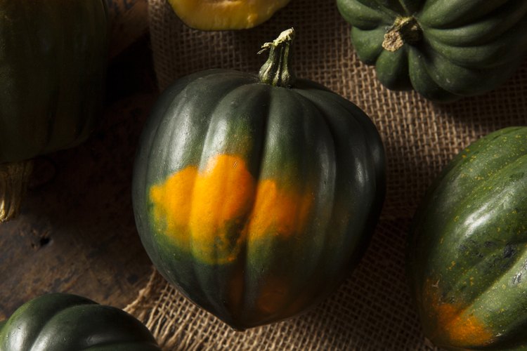 how-to-cook-an-acorn-squash-in-the-microwave-leaftv