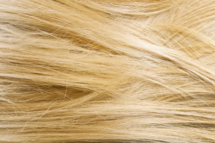 Dark blonde hair texture - wide 9