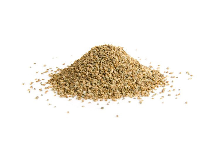 How to Make Celery Salt With Celery Seeds LEAFtv