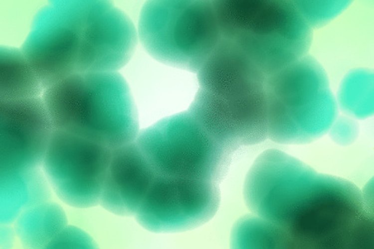 El ciprofloxacino es un antibiótico potente.