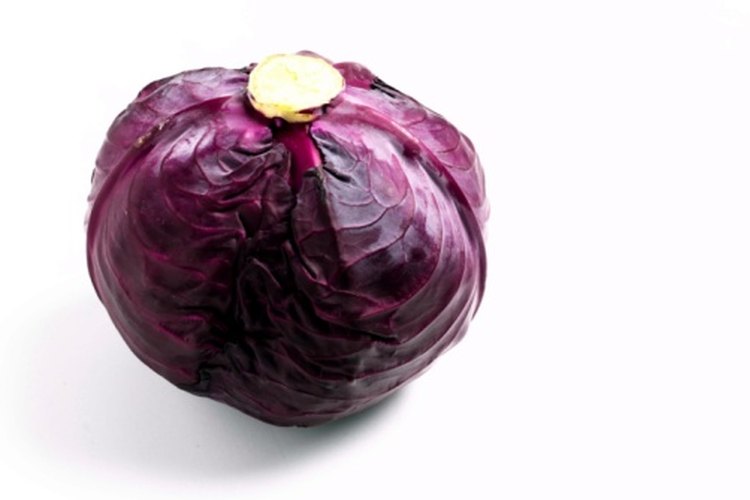 El repollo morado contiene antocianinas que combaten el cáncer.