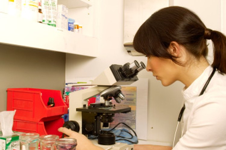 Las muestras de heces fecales se obtienen para realizar pruebas de laboratorio.