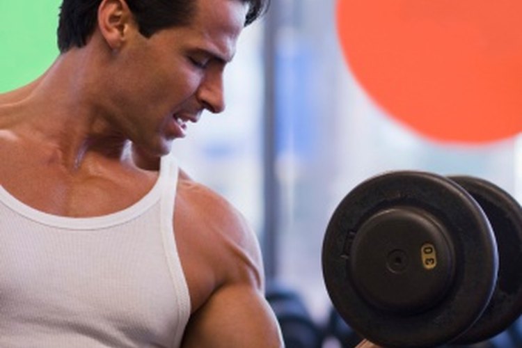 Utiliza las dos barras y mancuernas para entrenar la cara exterior del bíceps braquial.