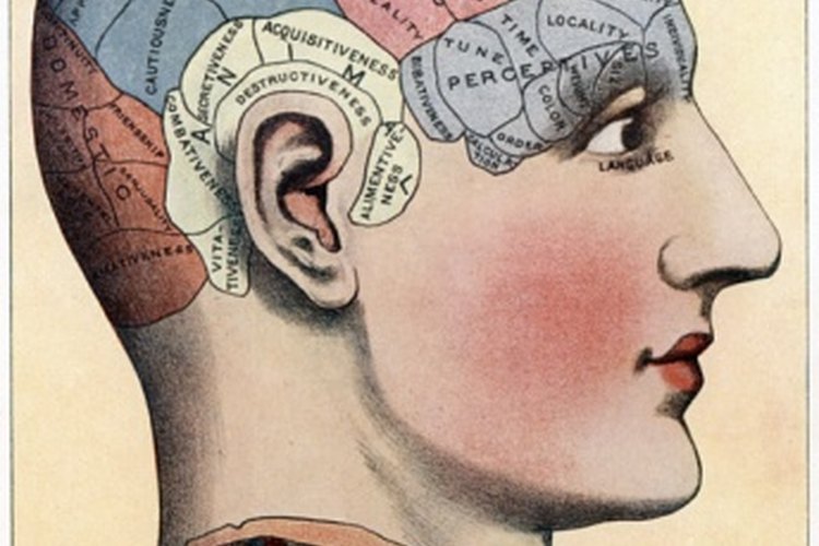 Los neurotransmisores desempeñan un rol importante en las conductas humanas.