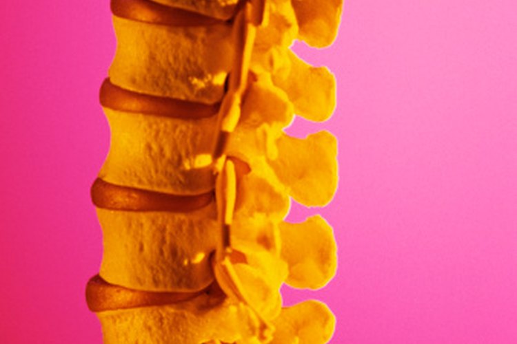 Los protocolos de terapia de laminectomía lumbar te ayudarán a fortalecer la parte inferior de la espalda y la columna vertebral.