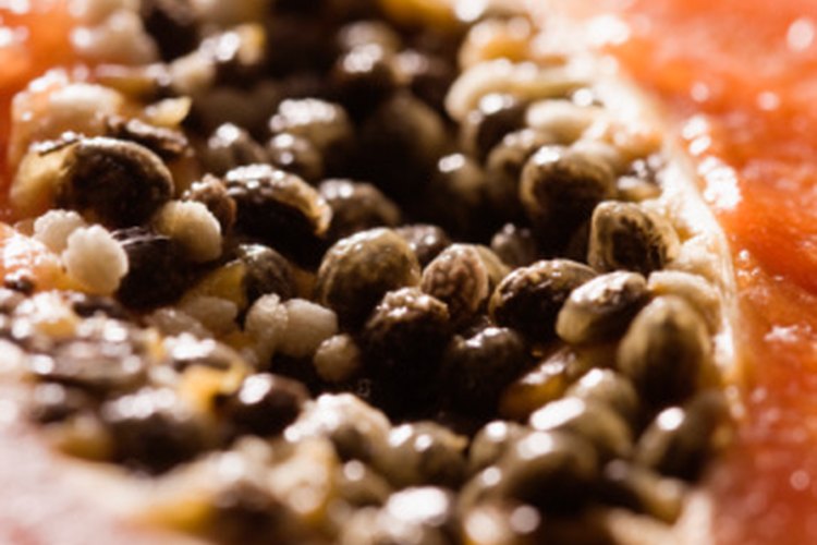 La papaya es rica en nutrientes.