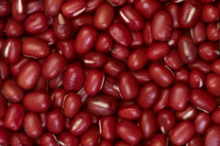 Los frijoles rojos son bajos en grasa y altos en fibra.