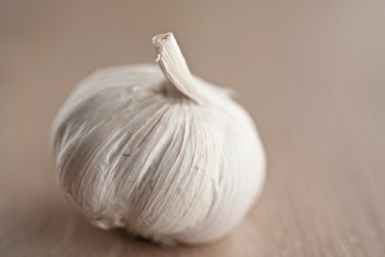 Los suplementos de ajo pueden ayudar a reducir los brotes de herpes genital.