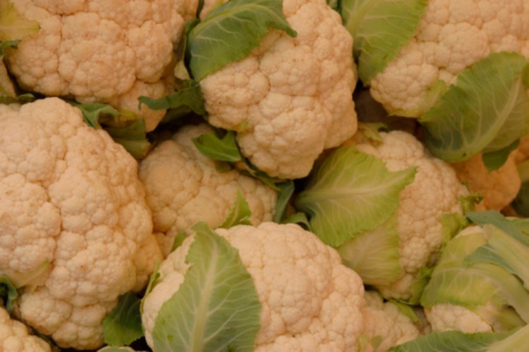La coliflor puede congelarse sin ser blanqueada previamente.