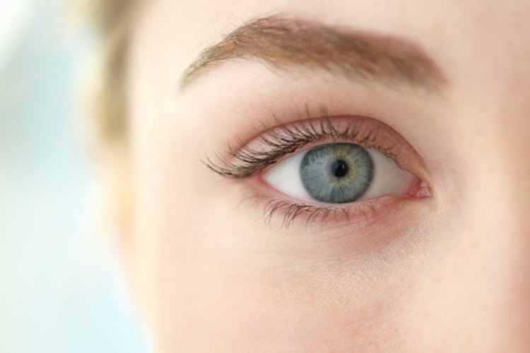 Las glándulas del ojo ayudan a la calidad de la visión.
