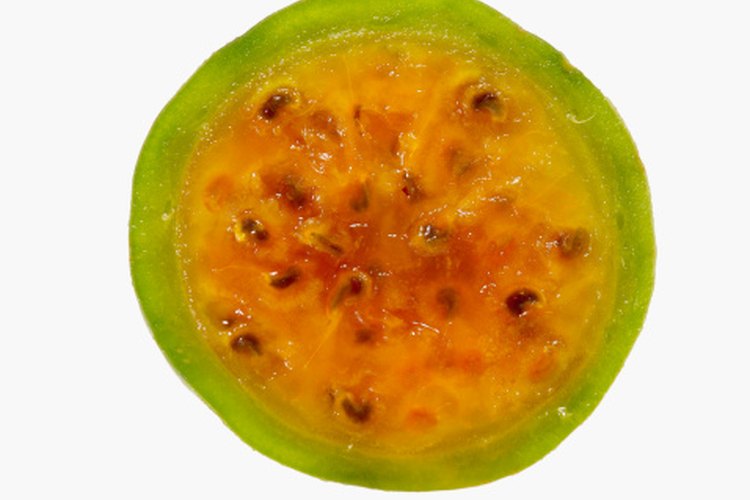 Las guayabas tienen un contenido particularmente alto en vitamina C.