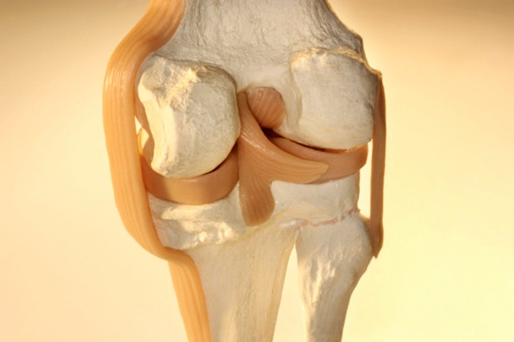 El dolor en las articulaciones de la rodilla puede afectar en gran manera la vida diaria.