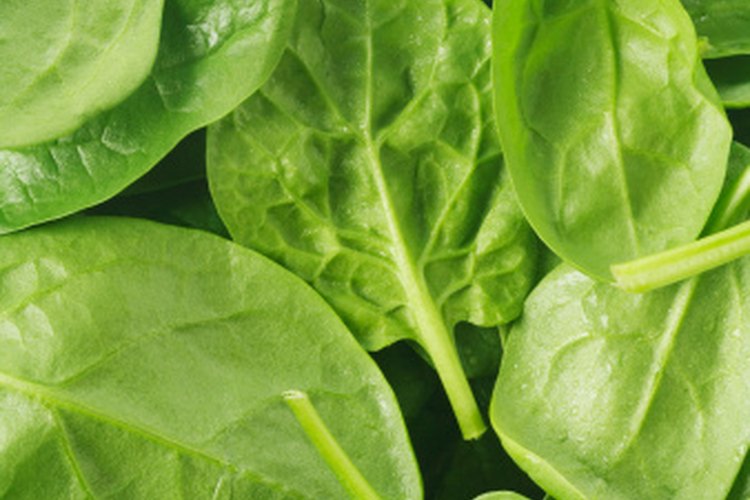 La espinaca es una fuente dietética de magnesio.