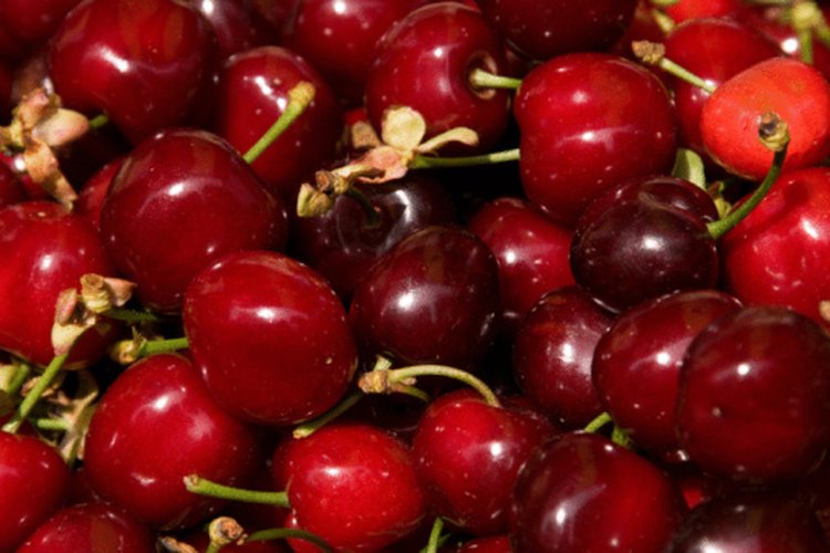 Las cerezas frescas son un alimento de bajas calorías.